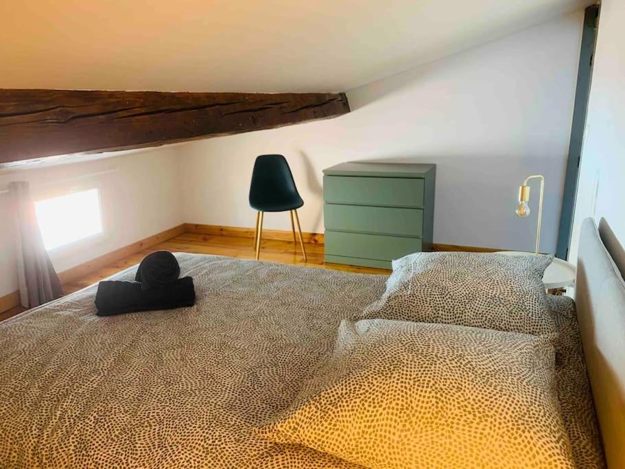 Spacieux Appartement En Plein Coeur De Castres Castres  Exterior foto