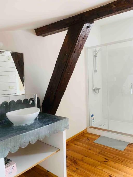 Spacieux Appartement En Plein Coeur De Castres Castres  Exterior foto